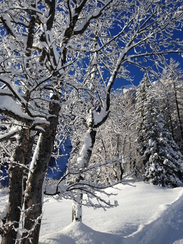 Formazza valley after snowing Verbania, Piemonte Italy