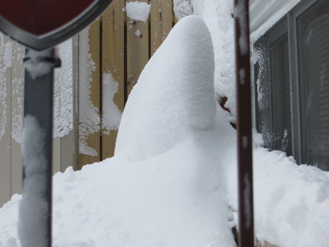 Snow cone London, Ontario Canada