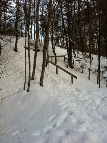 Walking on Winter trails Fitzroy Harbour, Ontario Canada