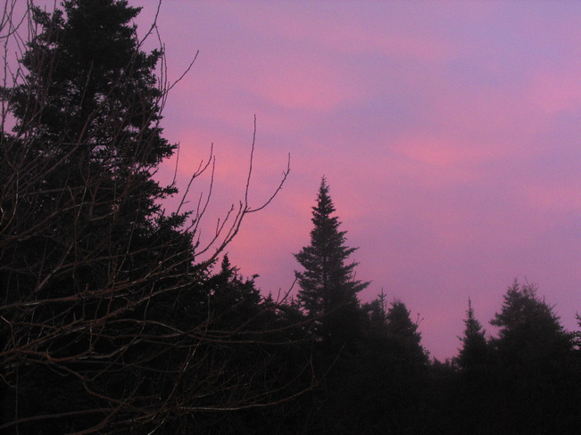 Pink Sky After The Rain Freshwater, Newfoundland and Labrador Canada