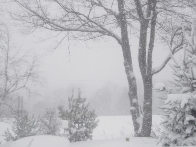 still snowing! MacTier, Ontario Canada