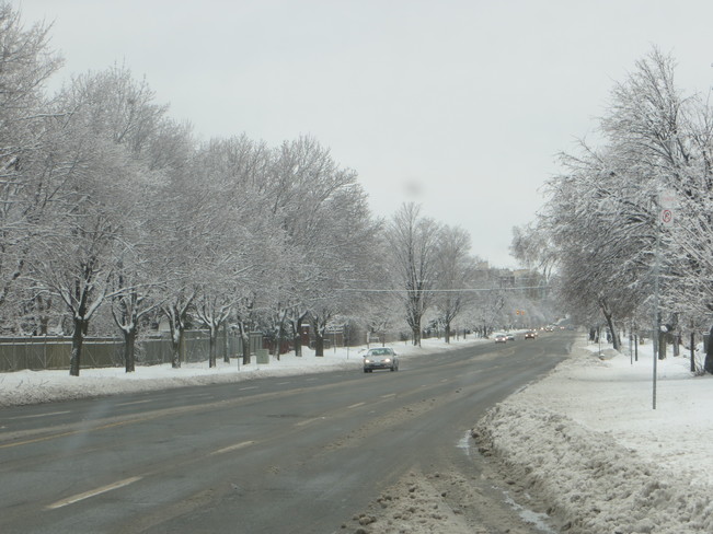 Winter Wonderland Scarborough, Ontario Canada