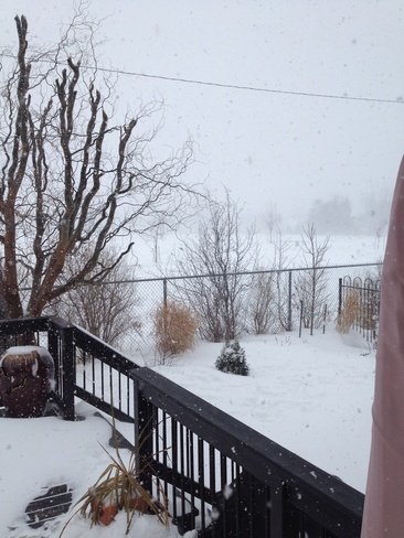 still snowing Binbrook, Ontario Canada