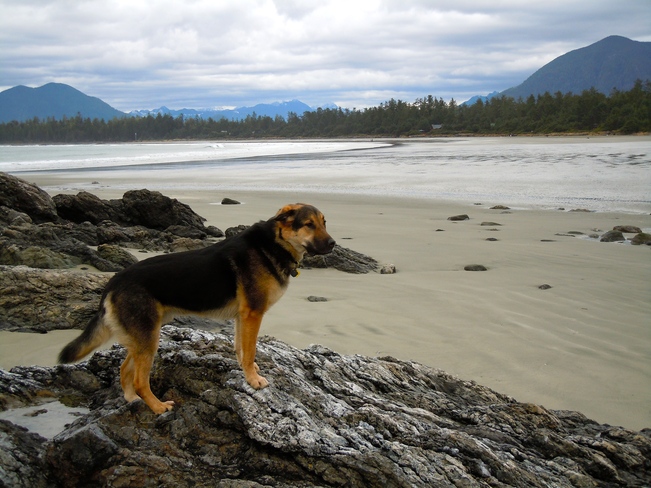 My beach, well in my dreams! Tofino, British Columbia Canada