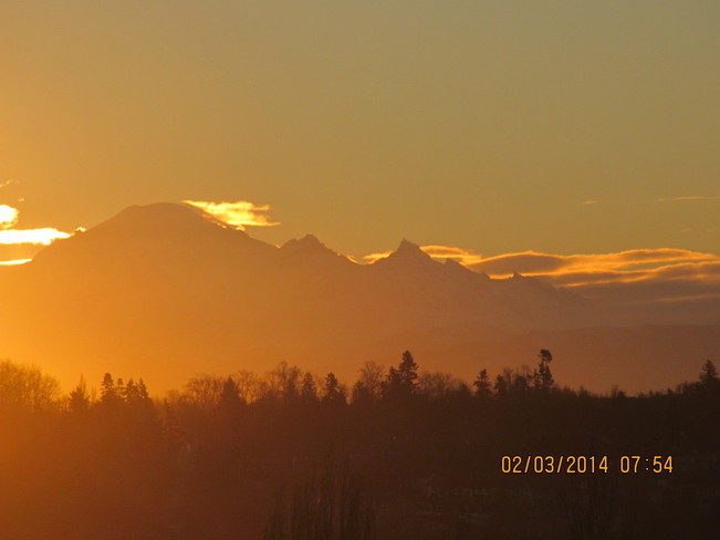 Golden Morning Surrey, British Columbia Canada