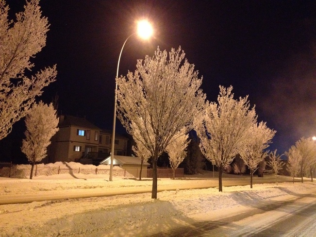 Amazing Hoar Frost Calgary, Alberta Canada