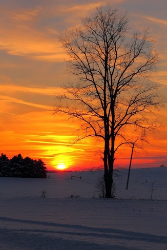 Cold Sunset Woodstock, Ontario Canada