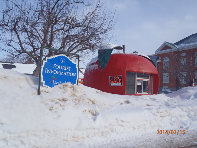 The Snowy Big Apple Meaford, Ontario Canada