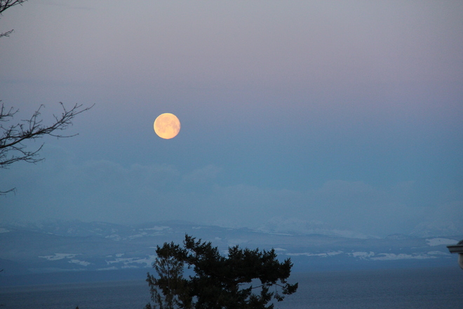 Full Moon setting at Dawn Powell River, British Columbia Canada