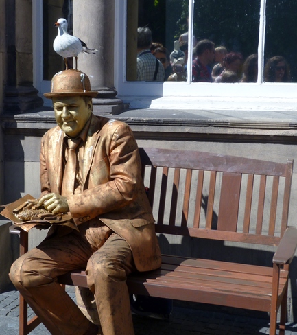 Watch The Birdie !! Edinburgh, City of Edinburgh, Eastern Scotland United Kingdom