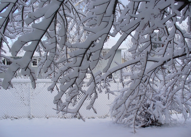 Snow, and Plenty of It! Moncton, New Brunswick Canada