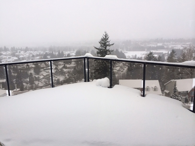 Snow on Glenn Mountain Abbotsford, British Columbia Canada