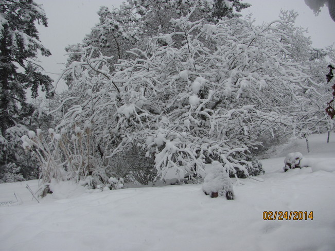 Snow, be gone! Nanaimo, British Columbia Canada