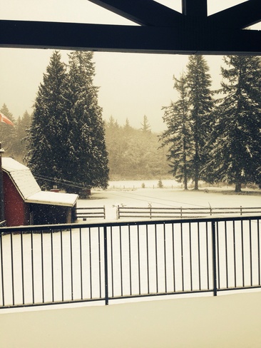snowy backyard Maple Ridge, British Columbia Canada