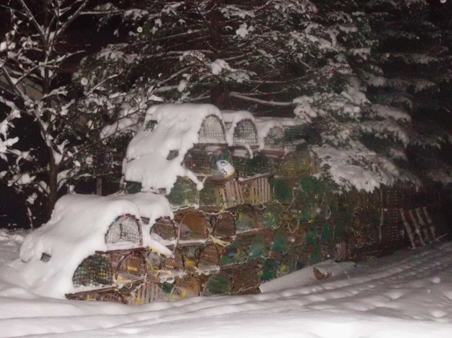 snow covered lobster pots! Bay Bulls, Newfoundland and Labrador Canada