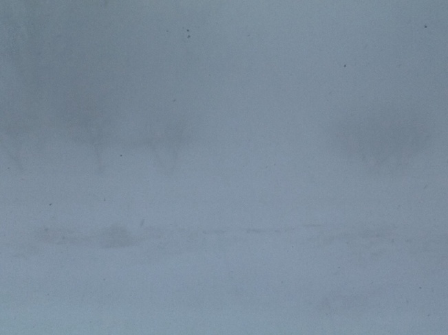 Blizzard conditions blew in Lambton Shores, Ontario Canada