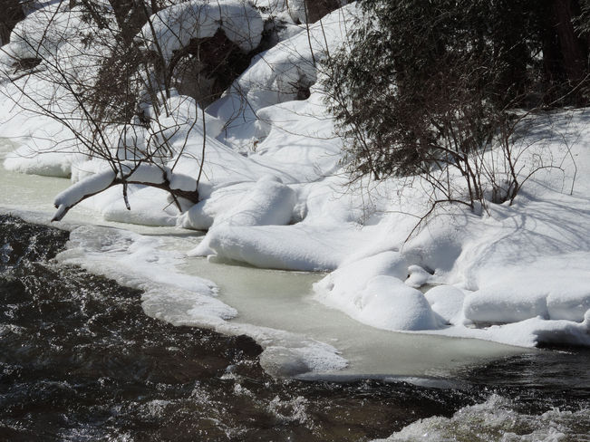 "Winter Beauty" Owen Sound, Ontario Canada