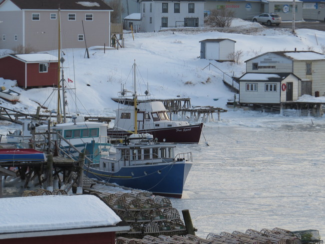 Ice in the Harbour Arnold's Cove, Newfoundland and Labrador Canada