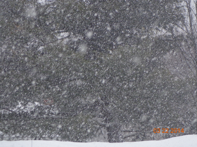 snowfall Fredericton, New Brunswick Canada