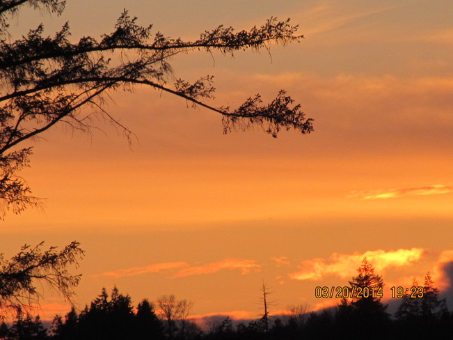 Warm Sunset Colours Cloverdale, British Columbia Canada