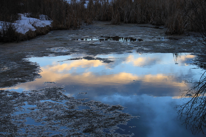 Sunset Reflected in Melted Snow Puddle Banff, Alberta Canada