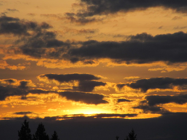 Sunrise colours Cloverdale, British Columbia Canada