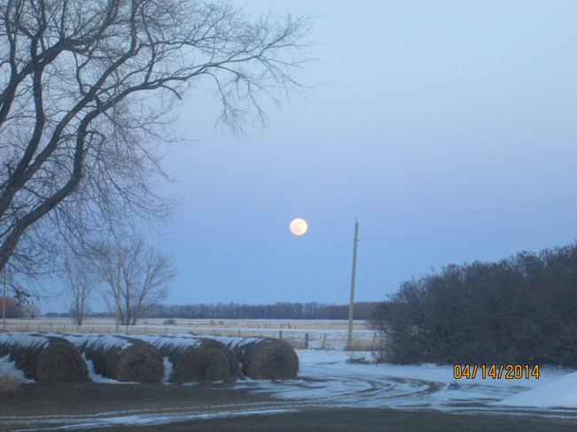 'Almost' Full Moon Carman, Manitoba Canada