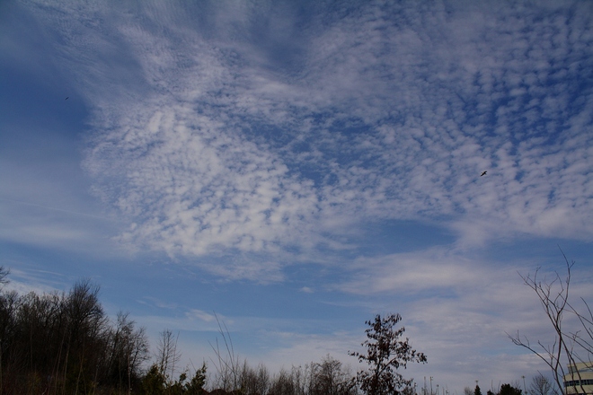 every cloud type... Scarborough, Ontario Canada