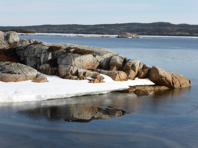 Reflection Birchy Bay, Newfoundland and Labrador Canada