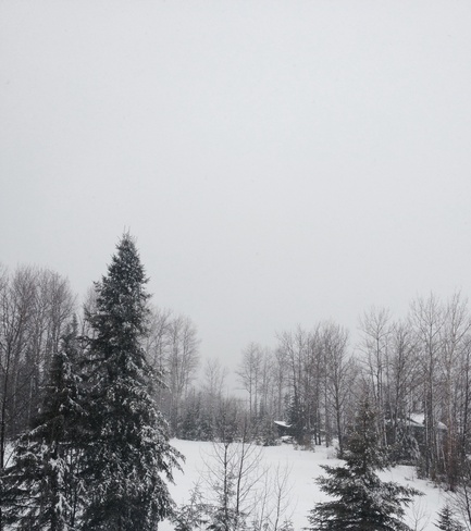 Earth Day Snow Kamiskotia, Ontario Canada