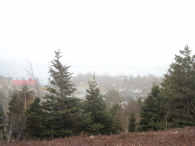 Carbonear under a blanket of fog Carbonear, Newfoundland and Labrador Canada