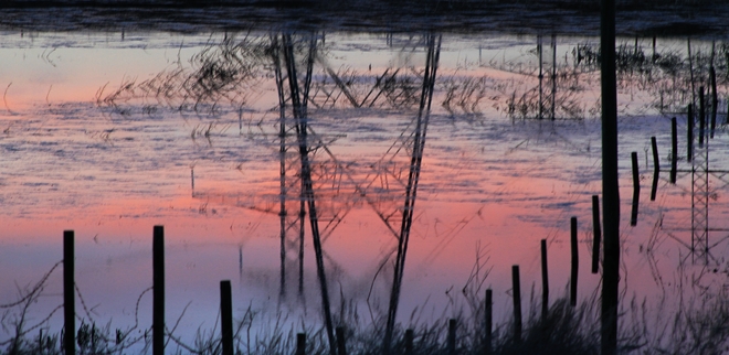 sunset in a pond Brooks, Alberta Canada