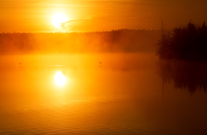 sunrise over Lake Vaughan Tusket, Nova Scotia Canada