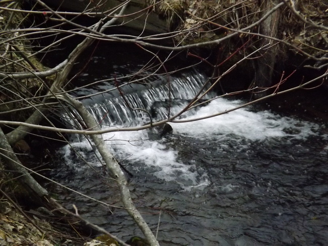water's moving New Minas, Nova Scotia Canada