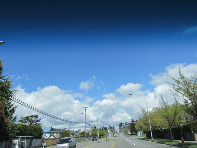 blue & white Surrey, British Columbia Canada