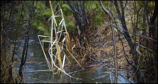 Sheriff Creek, peeking between the bushes. Elliot Lake, Ontario Canada