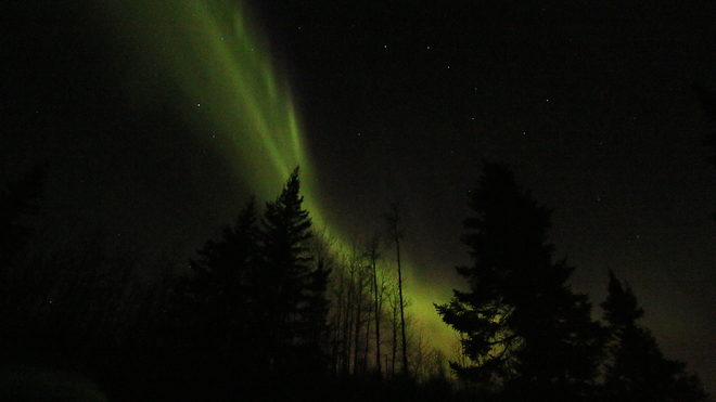 aurora borealis Edmonton, Alberta Canada