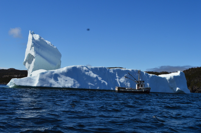 Iceberg Plate Cove West, Newfoundland and Labrador Canada