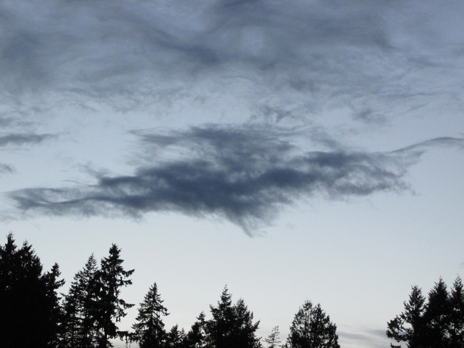 angel in the middle or swan flying to the right Surrey, British Columbia Canada