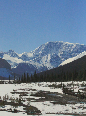 High Valley Jasper, Alberta Canada