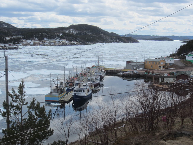 Ice in the harbour Grand Falls-Windsor, Newfoundland and Labrador Canada