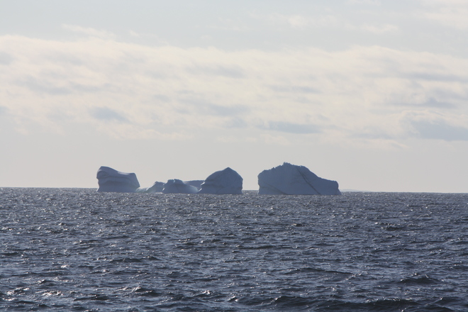 Icebergs off Moses point in Bonavista, NL Bonavista, NL