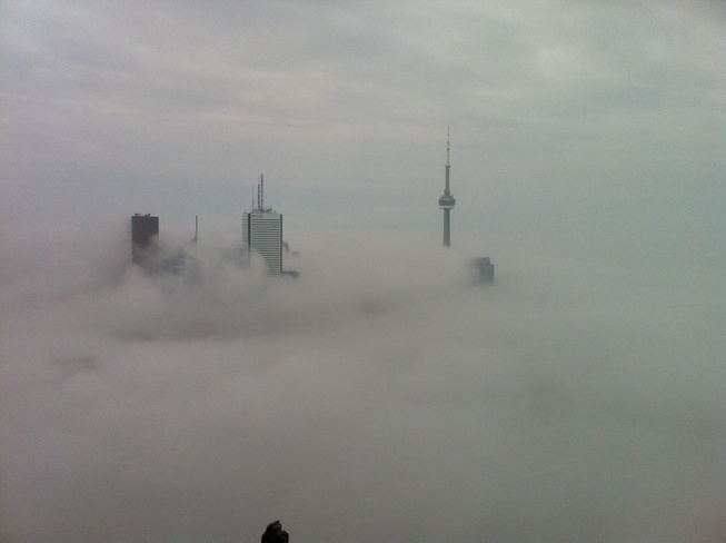 foggy morning in toronto Toronto, Ontario Canada