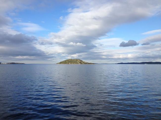 Hare Bay Island. Hare Bay, Newfoundland and Labrador