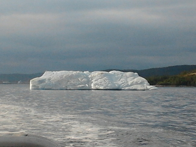 Ice berg Hare Bay, NL
