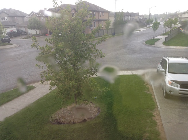rain vs wind Edmonton, Alberta Canada