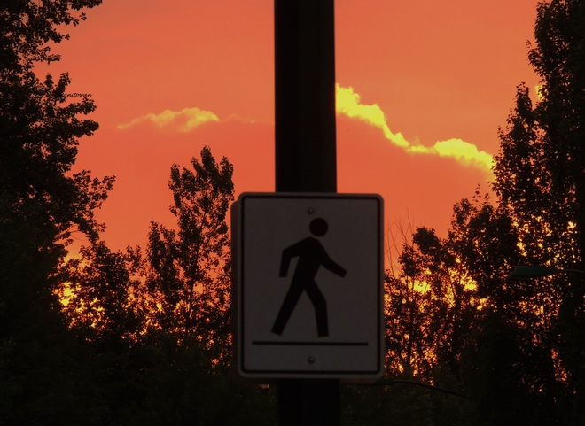 Sunset Crossing Burnaby, BC