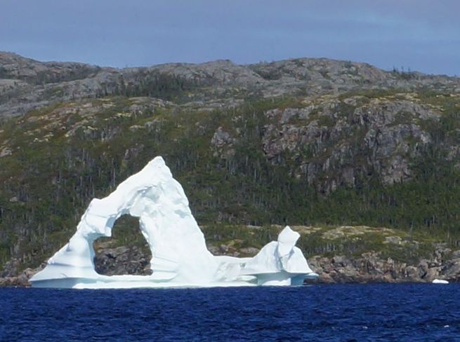 Twillingate Icebergs 2014 Twillingate, NL