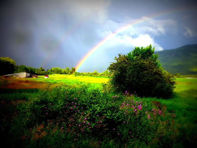 Father's Day rainstorm and rainbow Enderby, BC