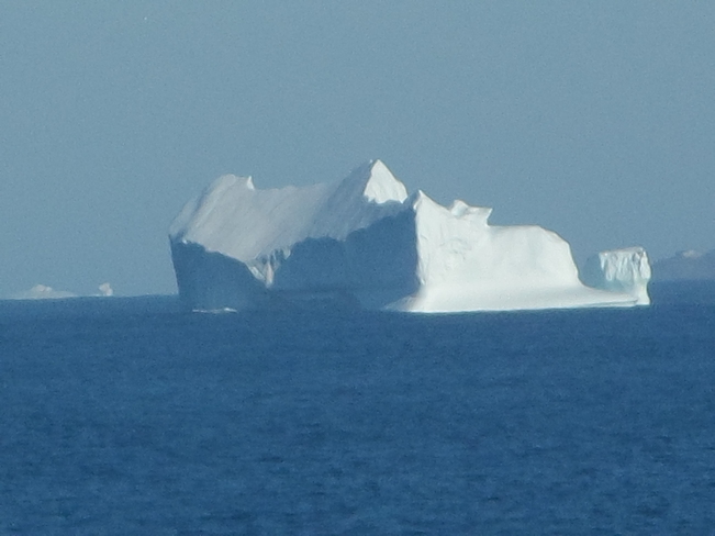 Huge Ice Burg Carbonear, NL